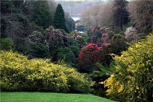 Trebah Gardens