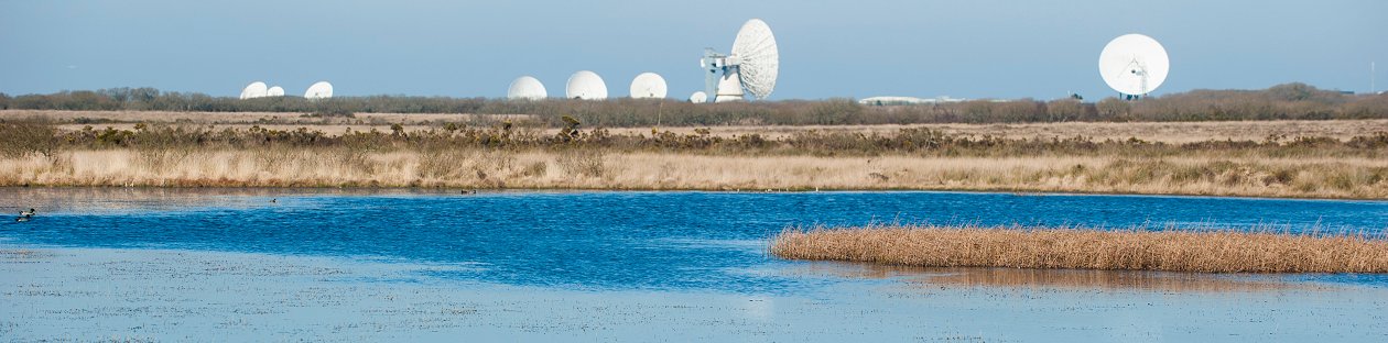 Goonhilly Downs