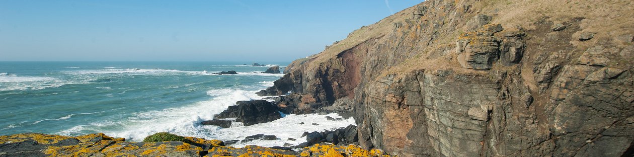 Lizard Point